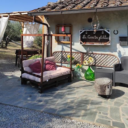 La Casa Tra Gli Ulivi Bed and Breakfast Cortona Eksteriør billede