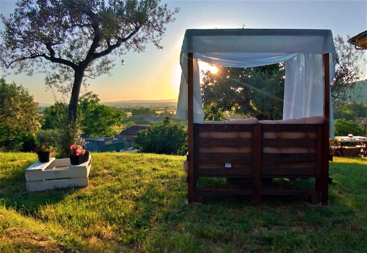 La Casa Tra Gli Ulivi Bed and Breakfast Cortona Eksteriør billede