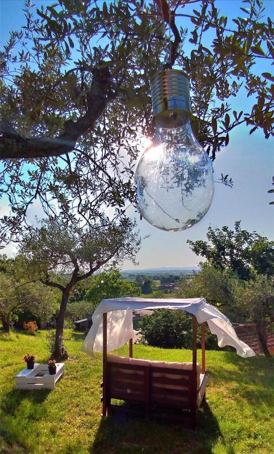 La Casa Tra Gli Ulivi Bed and Breakfast Cortona Eksteriør billede