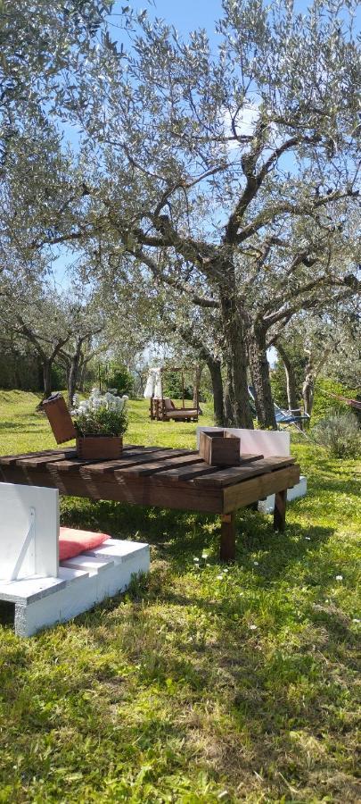 La Casa Tra Gli Ulivi Bed and Breakfast Cortona Eksteriør billede
