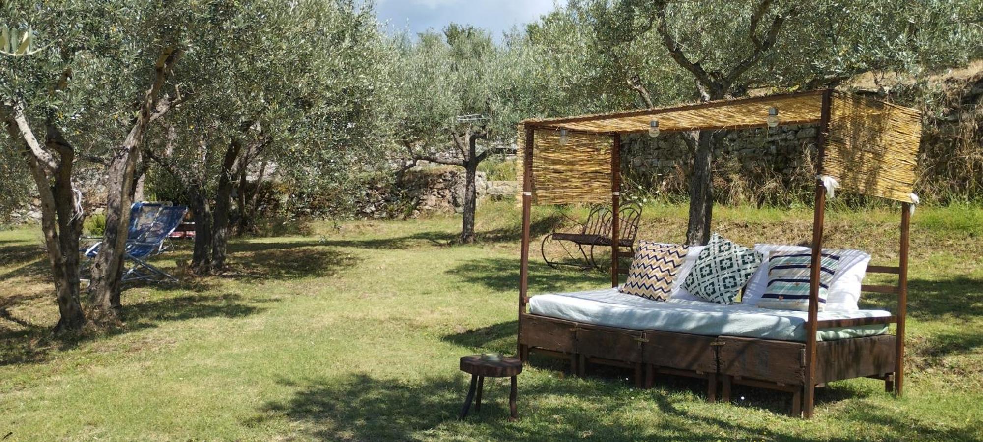 La Casa Tra Gli Ulivi Bed and Breakfast Cortona Eksteriør billede