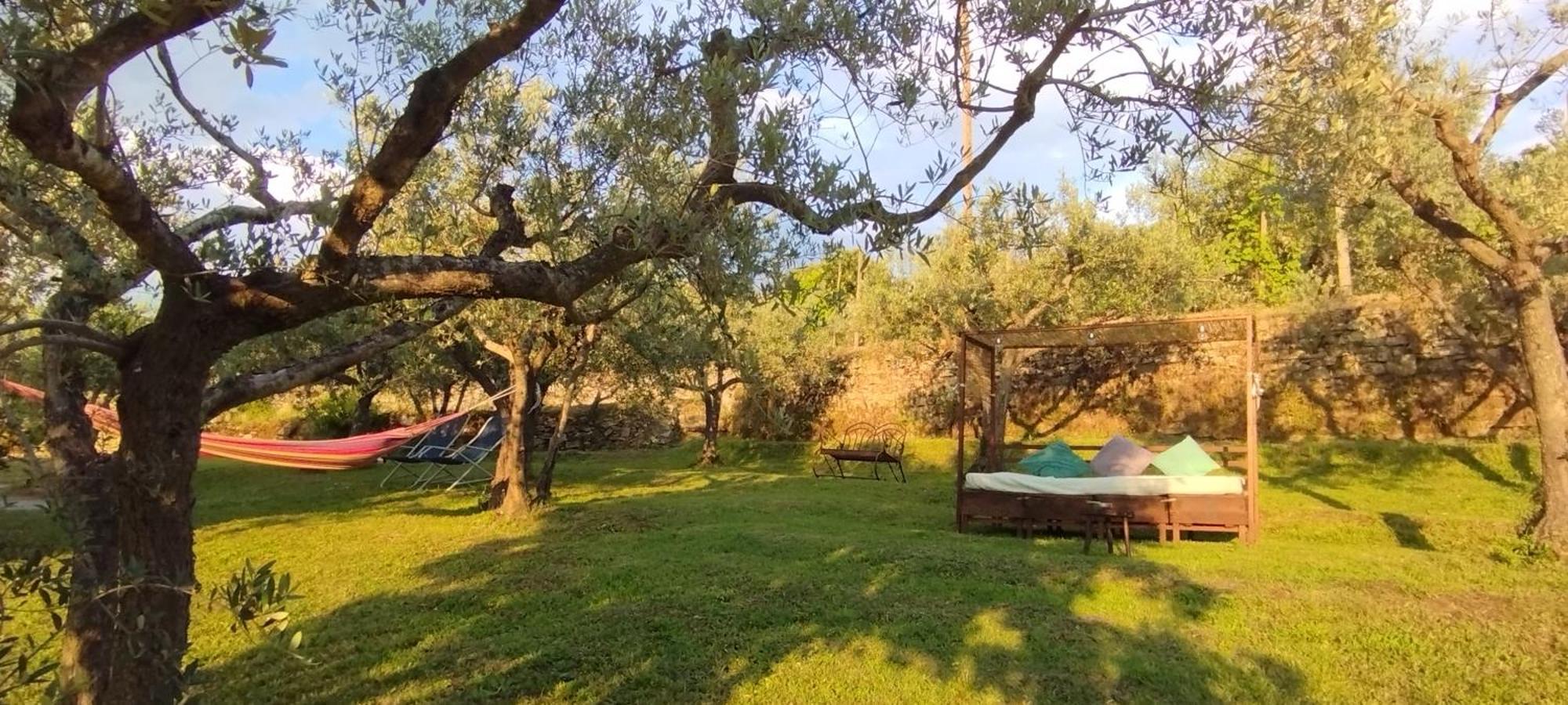 La Casa Tra Gli Ulivi Bed and Breakfast Cortona Eksteriør billede