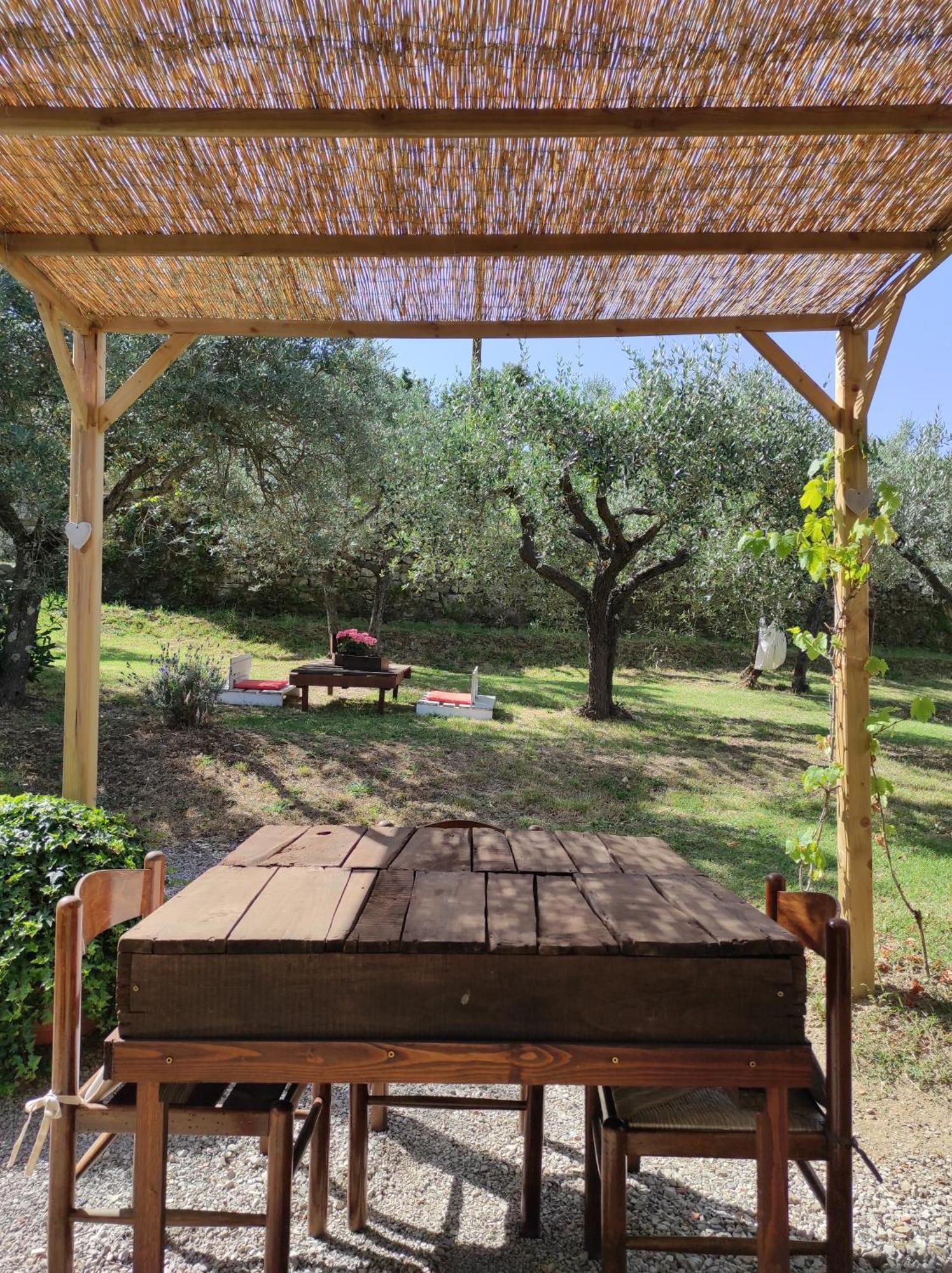 La Casa Tra Gli Ulivi Bed and Breakfast Cortona Eksteriør billede