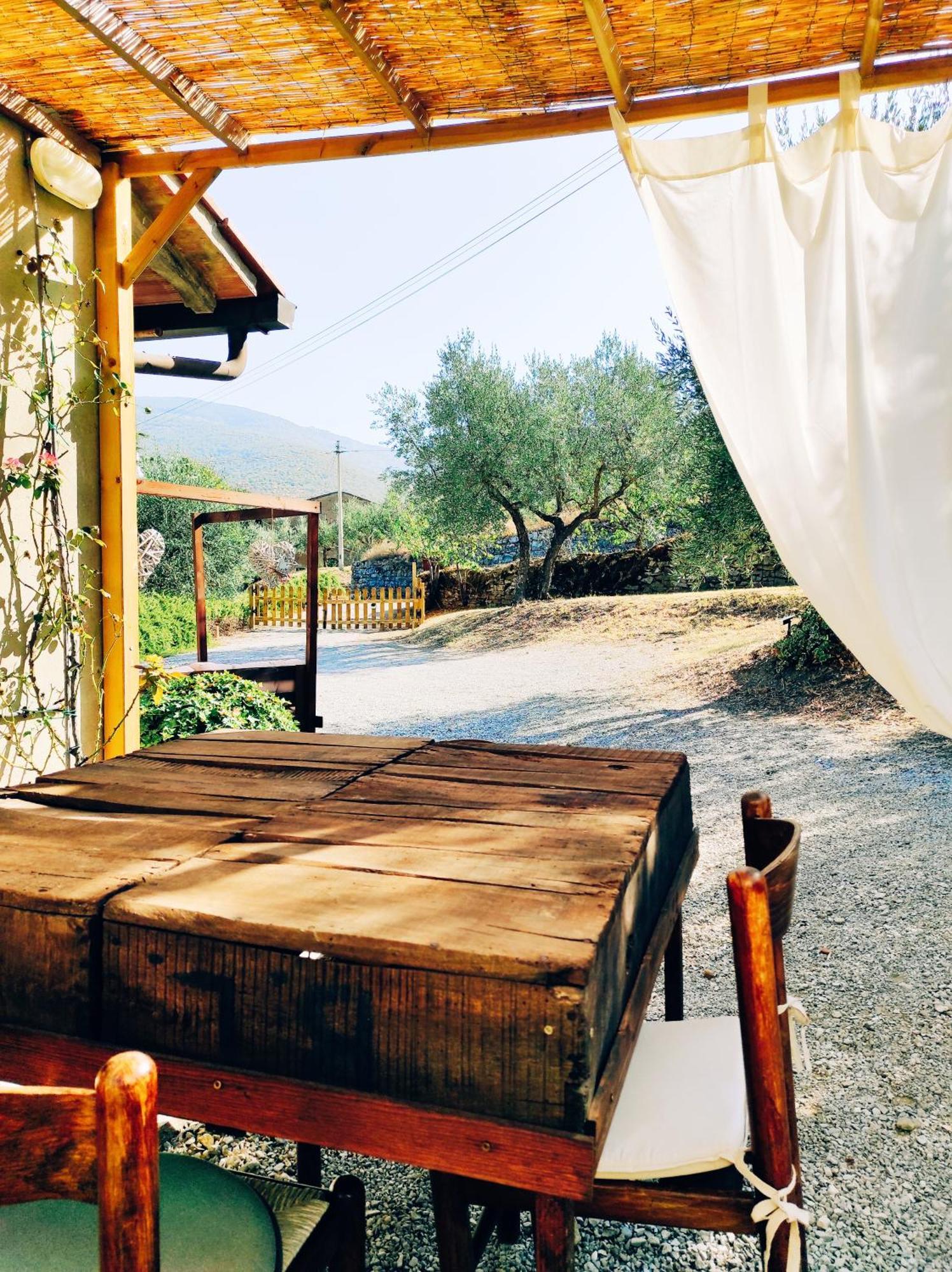 La Casa Tra Gli Ulivi Bed and Breakfast Cortona Eksteriør billede